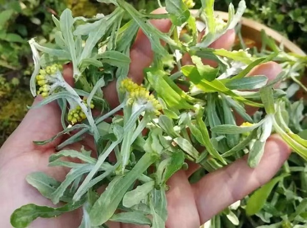 水腻子粑粑免费送