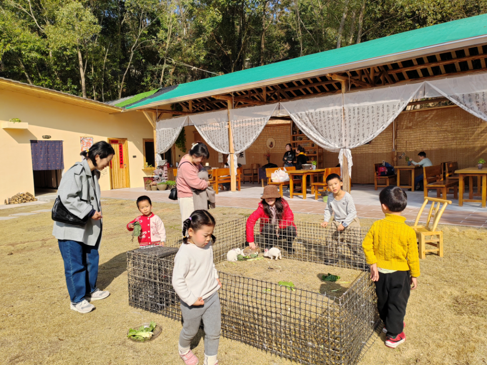 快来泉鹭山庄遇见小院投喂小兔兔！